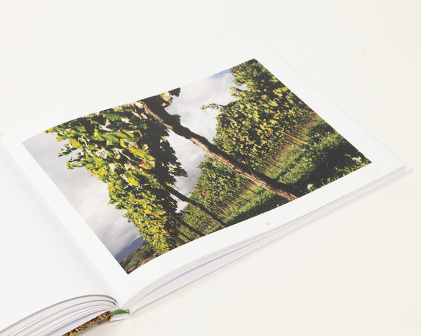 Frank Van Riper The Green Heart of Italy: Umbria and Its Ancient Neighbors – Daylight Books
